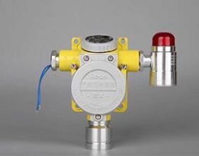 氣體報警/生命安全系統(tǒng)